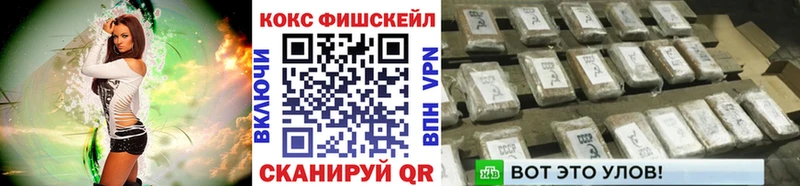 COCAIN FishScale  Купить закладки  Алексин 