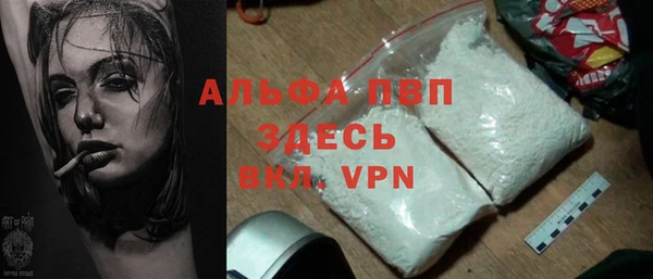 тгк Каменка