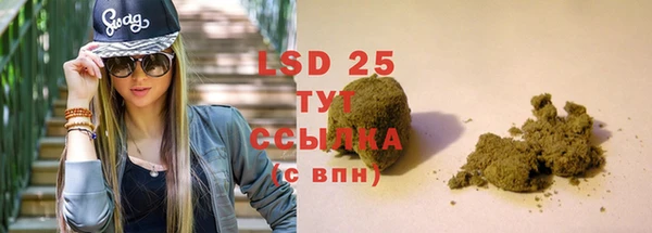 тгк Каменка