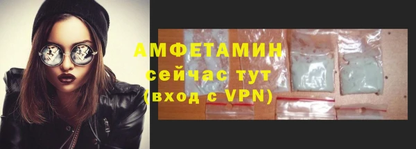тгк Каменка