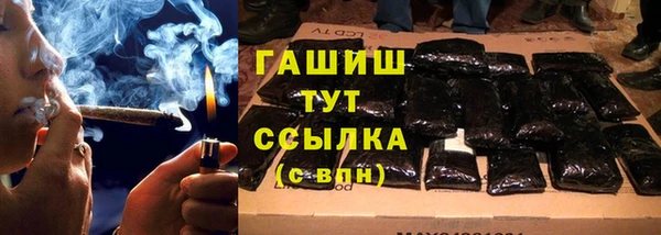 тгк Каменка