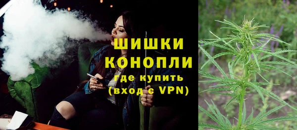 дживик Каменногорск