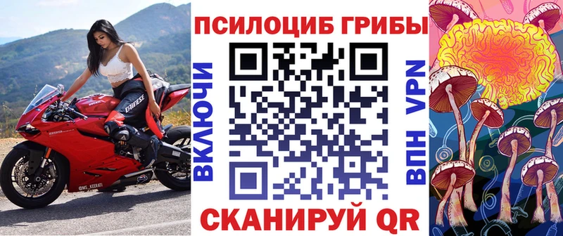 Купить закладки  Алексин  Галлюциногенные грибы мухоморы 