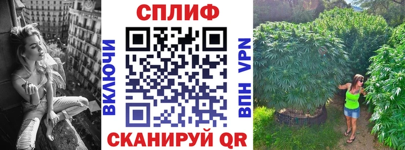 Купить  Алексин  Канабис сатива 